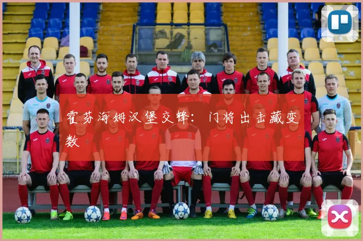霍芬海姆汉堡交锋：门将出击藏变数
